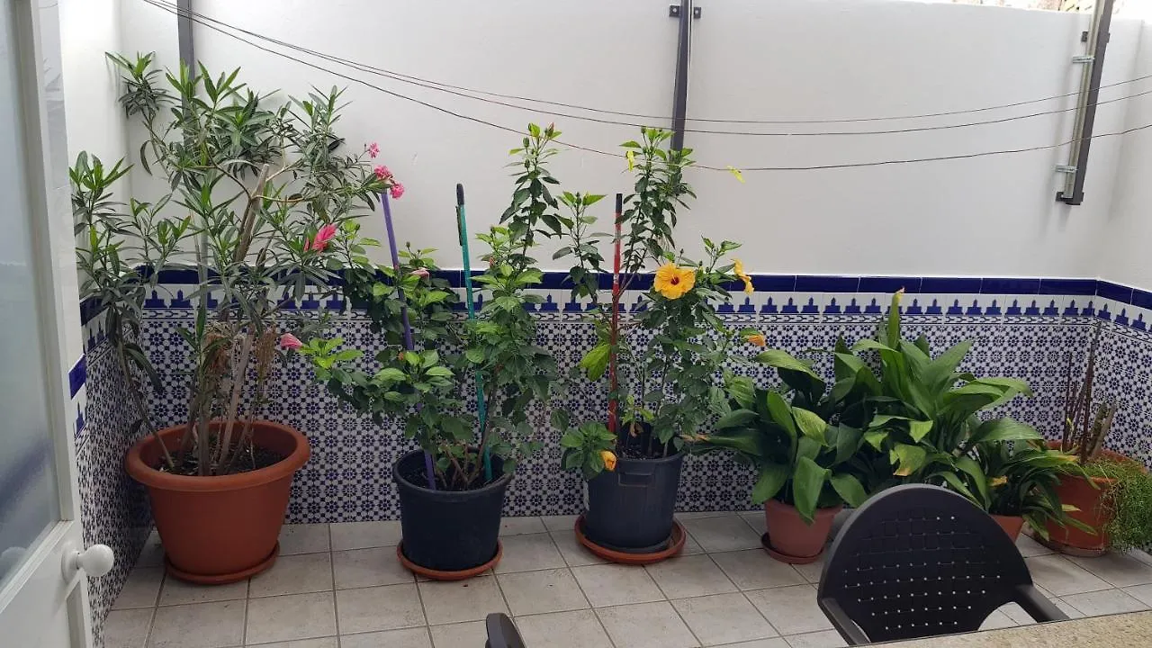Apartamento Callejuela Las Flores Algodonales 0*,  Hiszpania